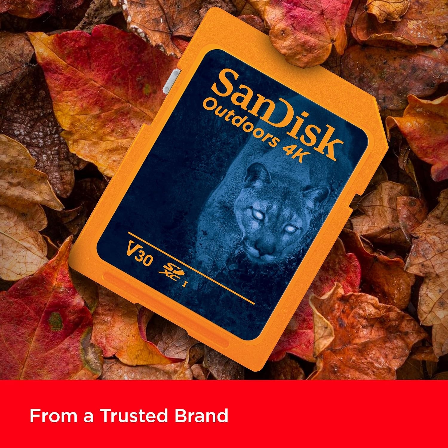 image:imageSANDISK 128GB 2Pack Outdoors 4K SDXC UHSI Memory Card 2x128GB Up to 180MBs C10 U3 V30 Trail Camera SD Card SDSDXWA128GGN6V2128GB 2Pack