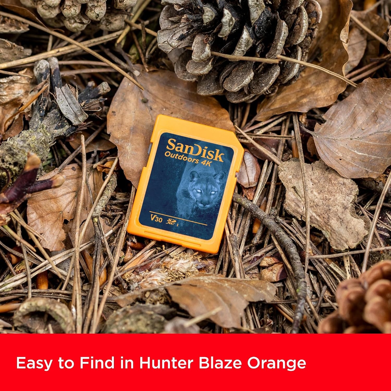 image:imageSANDISK 128GB 2Pack Outdoors 4K SDXC UHSI Memory Card 2x128GB Up to 180MBs C10 U3 V30 Trail Camera SD Card SDSDXWA128GGN6V2128GB 2Pack