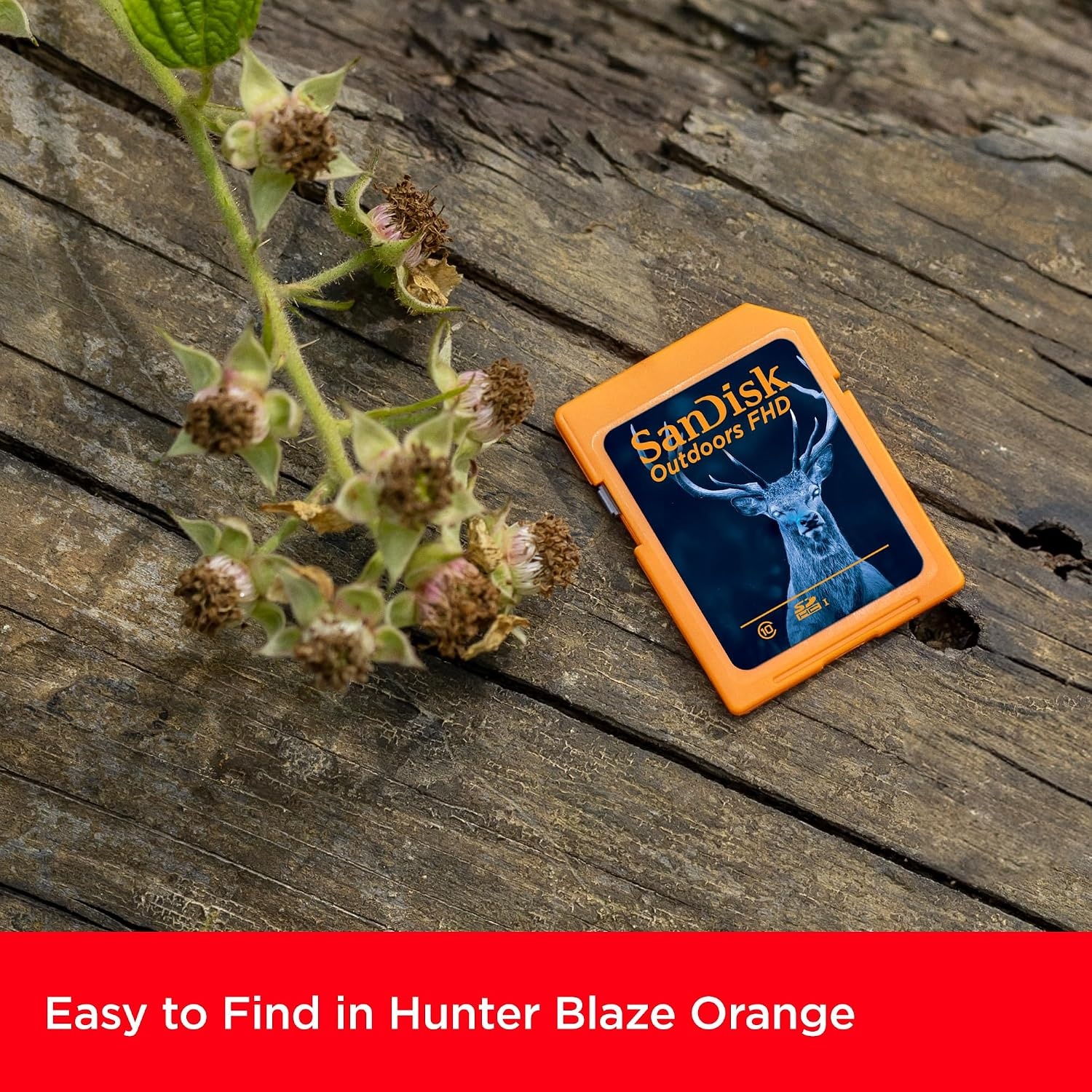 image:imageSANDISK 128GB 2Pack Outdoors FHD SDXC UHSI Memory Card 2x128GB Up to 150MBs C10 U1 V10 Trail Camera SD Card SDSDUWC128GGN6V232GB 2Pack