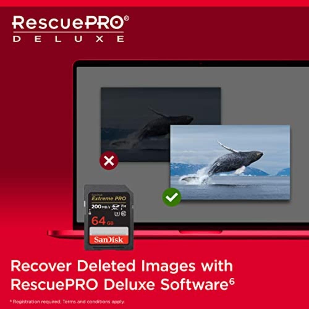 image:imageSANDISK 256GB Extreme PRO SDXC UHSI Memory Card C10 U3 V30 4K UHD SD Card SDSDXXD256GGN4INOld Version
