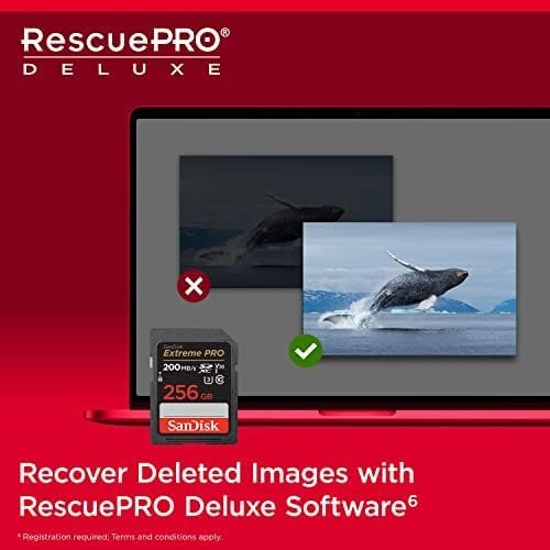 image:imageSANDISK 256GB Extreme PRO SDXC UHSI Memory Card C10 U3 V30 4K UHD SD Card SDSDXXD256GGN4INOld Version