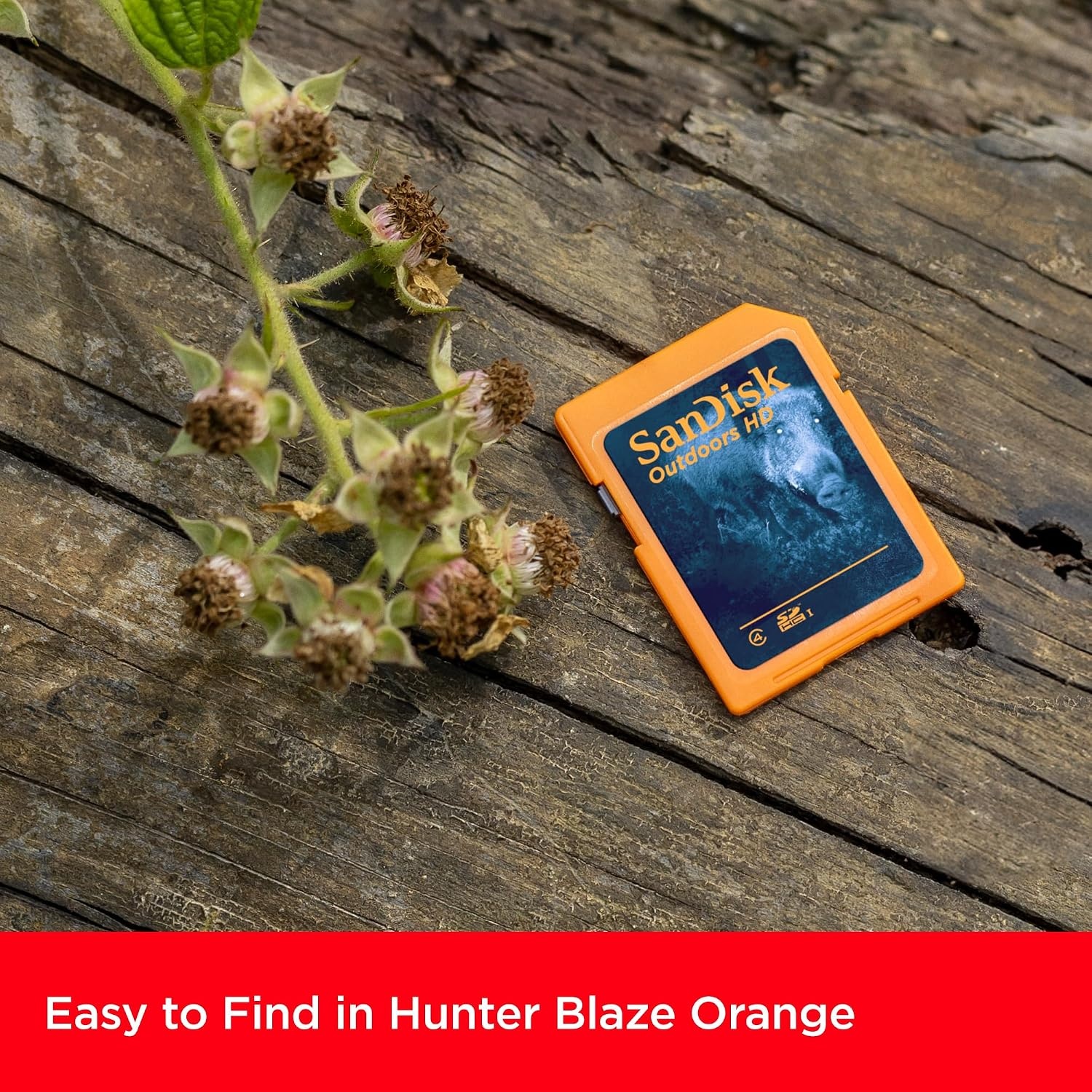image:imageSANDISK 32GB 2Pack Outdoors HD SDHC UHSI Memory Card 2x32GB Up to 100MBs C4 Trail Camera SD Card SDSDBNN032GGN6V232GB 4Pack