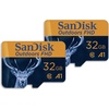 32GB (2-Pack)