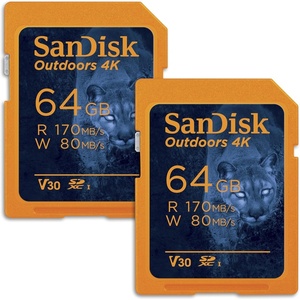 SANDISK 128GB 2-Pack Outdoors 4K SDXC UHS-I Memory Card (2x128GB) – Up to 180MB/s, C10, U3, V30, Trail Camera SD Card – SDSDXWA-128G-GN6V2(64GB (2-Pack))