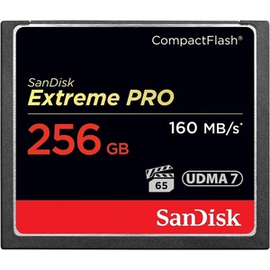 SANDISK 32GB Extreme PRO CompactFlash Memory Card UDMA 7 Speed Up To 160MB/s – SDCFXPS-032G-X46(256GB)